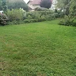 Hortensia - - - Munzkirchen