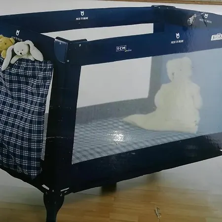 Hortensia - - - * Munzkirchen