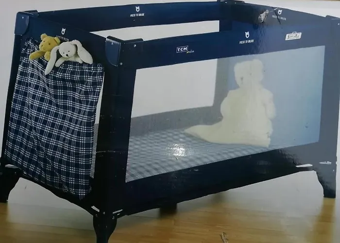 Hortensia - - - * Münzkirchen